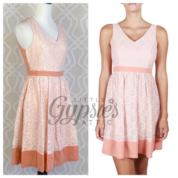 A'Reve Dresses & Skirts - A'reve Marilyn's Retro Blush Dress